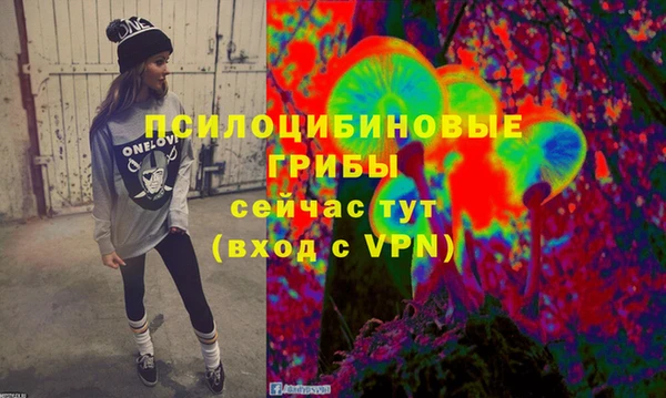 не бодяженный Арсеньев